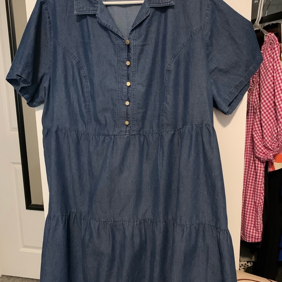 Denim Button-Up Dress - Picture 1 of 5